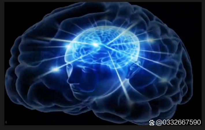 独家爆料!某顶流明星深夜现身机场,行色匆匆疑似出逃